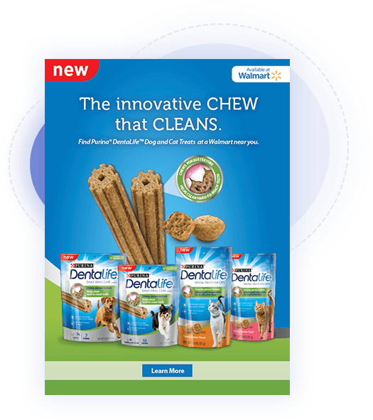 Initial marketing outreach